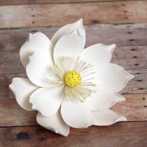 Lotus XL White Gum Paste 5″ Each