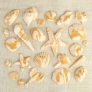 Sea Shells 4 Styles Carmel Marbled Assorted Gum Paste 3″ Each