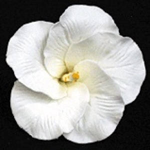 Hibiscus Flower 2.5″ 2 count