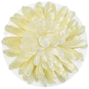 White Mum Layon 6″ Each