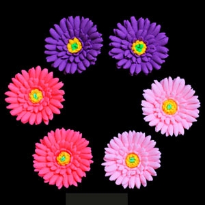 Aster Flowers Assorted 1 3/4″ Each