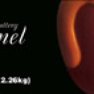 Peters Caramel Loaf 5 lb