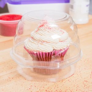 Cupcake Container Standard Single Each