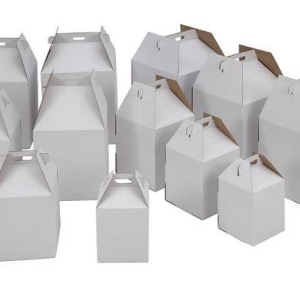 12 X 12 X 14 Tall Carrier Box Each