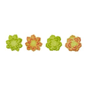 Succulents Assorted Dec-Ons 1 1/4″ to 1 3/8″ 8 count