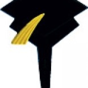 Grad Cap Picks 12 CT