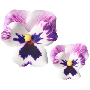 Purple Pansies Assortment 3 count
