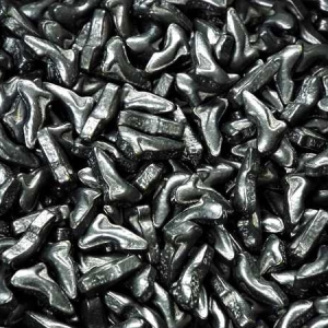 Black High Heels 5 oz