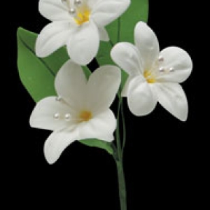 Filler Spray #3 4.5″ 3 count