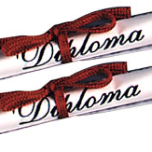 Diploma Paper with Red Ribbon 3 1/2″ Each