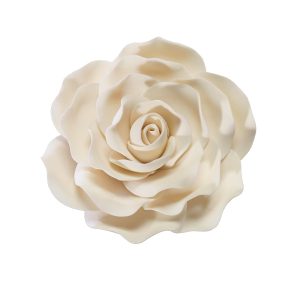 Large Rose Ivory 4 1/3″ Each