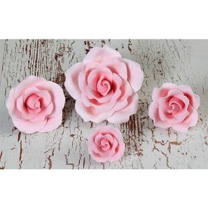 English Garden Rose Mix Pink 4 count