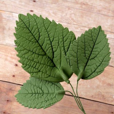 Hydrangea Leaves Green 5 count