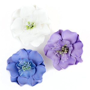 Scabiosas Mix 2″ Each