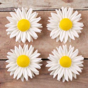 Petite Daisies White 1″ 6 Count