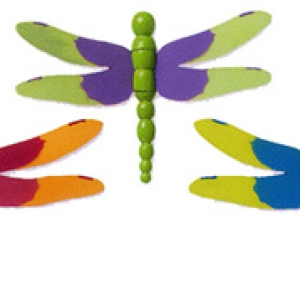 Dragonfly 3D Pick 2″ x 2 1/2″ 3 count