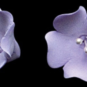 Fruit Blossom Lavender 1″ 5 Count