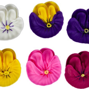 Pansies Assorted 1 3/4″ 6 count