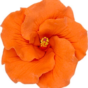 Hibiscus Flower Orange 2.5″ 2 count
