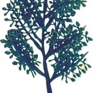 Branch Tree with stand 4 ” 6 count