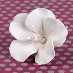 Fruit Blossom White 2″ 2 Count