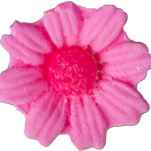 Daisies Medium Pink 6 Count