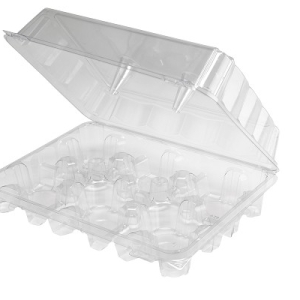 Cupcake Container Jumbo Holds 6 Each