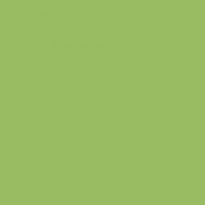 Key Lime FDA Petal Dust 3.5 gram Each