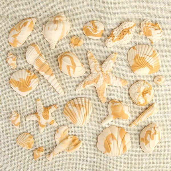 Sea Shells 4 Styles Carmel Marbled Assorted Gum Paste 3" Each