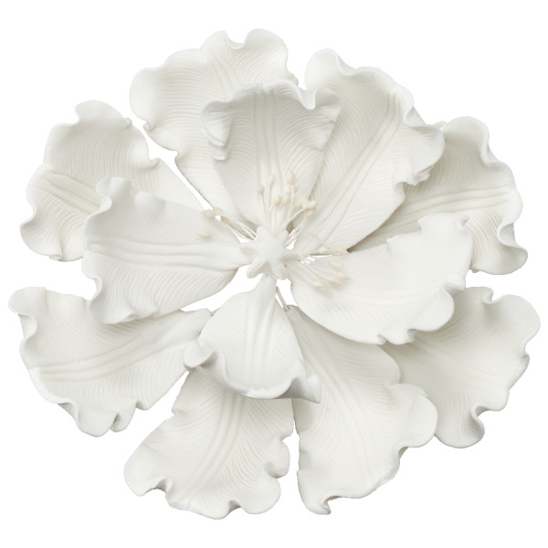Peony White 4" Each