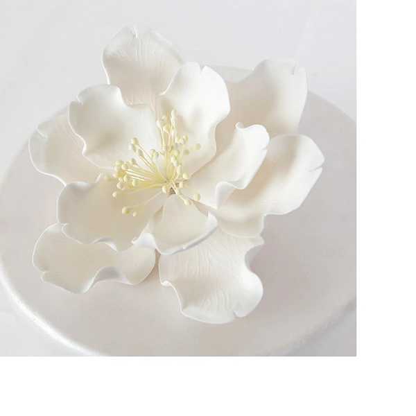 Large Open Peony White 6" Each