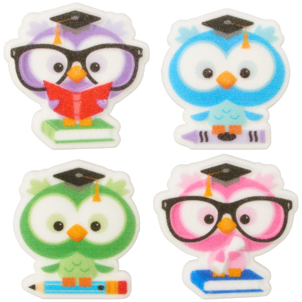 Colorful Grad Owl Dec-Ons 4 count