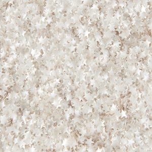Silver Stars Edible Glitter .04 oz