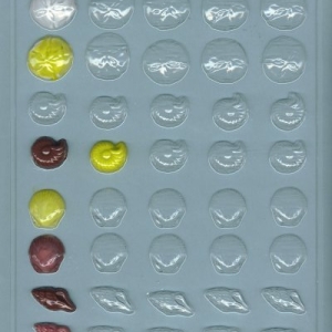 Tiny Seashell Assortment Mold 40 cavity Each