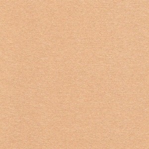 Tropical Coral FDA Luster Dust 3.5 gram Each