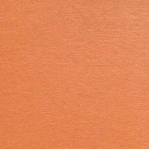 Orange Slice FDA Luster Dust 3.5 gram Each