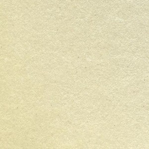 Champagne FDA Luster Dust 3.5 gram Each