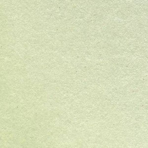 Oyster Shell FDA Luster Dust 3.5 gram Each