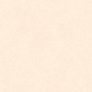 Gold Pearl FDA Luster Dust 3.5 gram Each