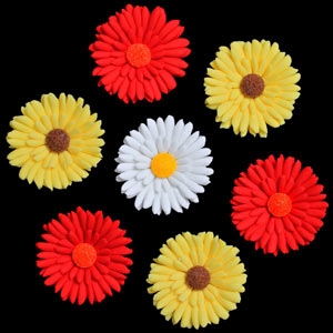 Shasta Daisies Yellow with Brown Center Each
