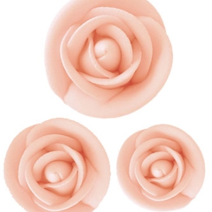 Peach Roses Each
