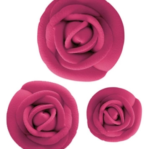 Fuschia Roses Each
