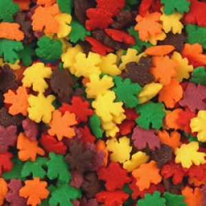 Fall Leaves Quins 19 oz