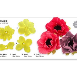 Anemone Cutter Set of 4