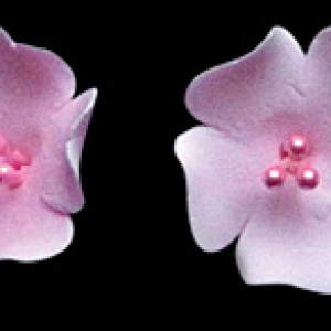 Fruit Blossom Pink 1″ 5 count
