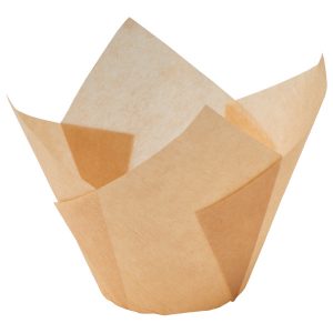 Natural Tulip Cup 2″ B x 6 1/4 x 6 1/4″ Approx 50