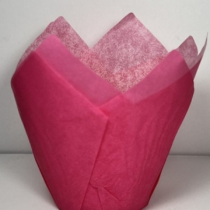 Pink Tulip Cup 2″ B x 6 1/4 x 6 1/4″ Approx 50