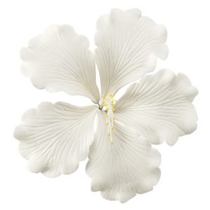 Hibiscus White Gum Paste Each