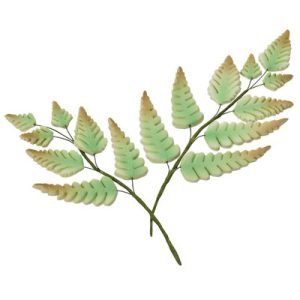Airy Ferns Gum Paste 3 sizes 2 1/4″ – 7″ 3 count