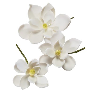 Magnolia Asst Gum Paste 3 count